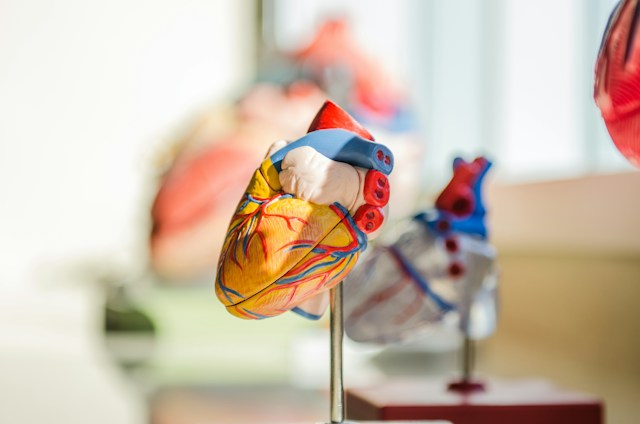 Advancing Cardiovascular Prevention Through Precision Biomarker Management